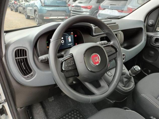 FIAT Panda 1000 HYBRID PANDINA POP 70CV ITALIA rif. 23999463 - Foto 10