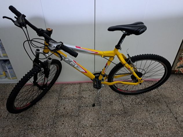Bicicletta Mountain Bike GFM Urany 26