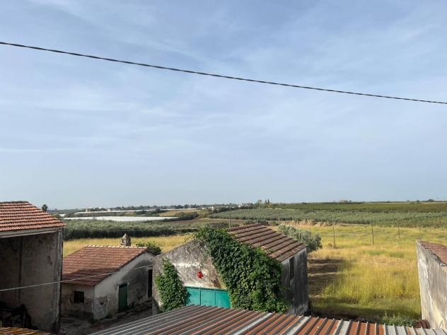 Azienda Agricola - Eboli . Rif.: venebviasanmiel350 - Foto 3