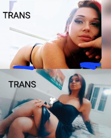 Vera top trans Italia massaggi Tel:3801387176