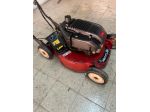 Tagliaerba Semovente TORO