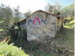 Rustico in vendita a Cune - Borgo a Mozzano 50 mq  Rif: 1310711