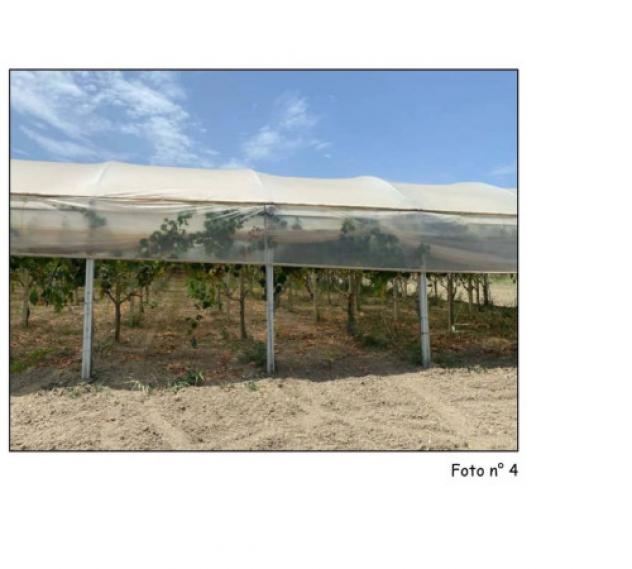 Immobile in asta di 5800 m² in vendita a Palma di Montechiaro - Foto 3