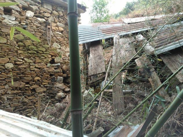 Rustico in vendita a Pietrasanta - Foto 6