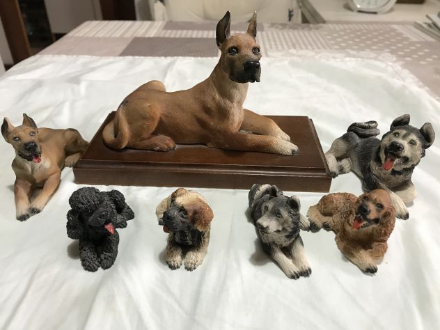 COLLEZIONE CANI