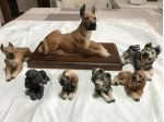 COLLEZIONE CANI