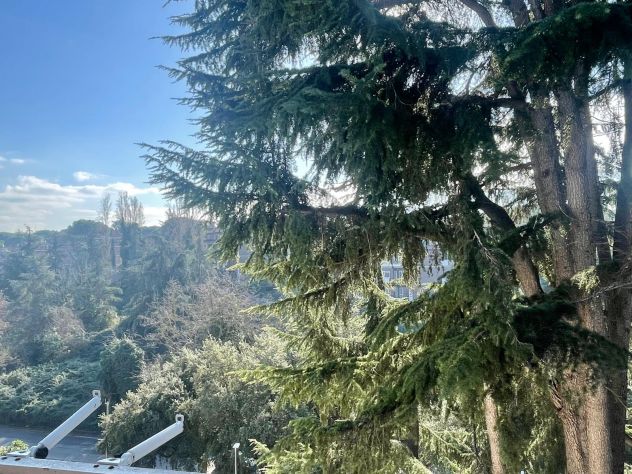 Panoramico ultimo piano nel cuore verde di Nuovo Salario - Foto 2