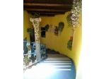 elegante locale cantinato