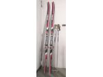 Sci Head Speed Master 190 cm con bastoncini.