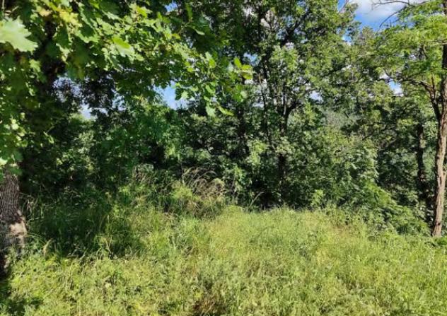 Immobile in asta di 19800 m² in vendita a Lerma - Foto 4