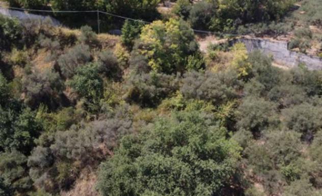Immobile in asta di 920 m² in vendita a Merì - Foto 8