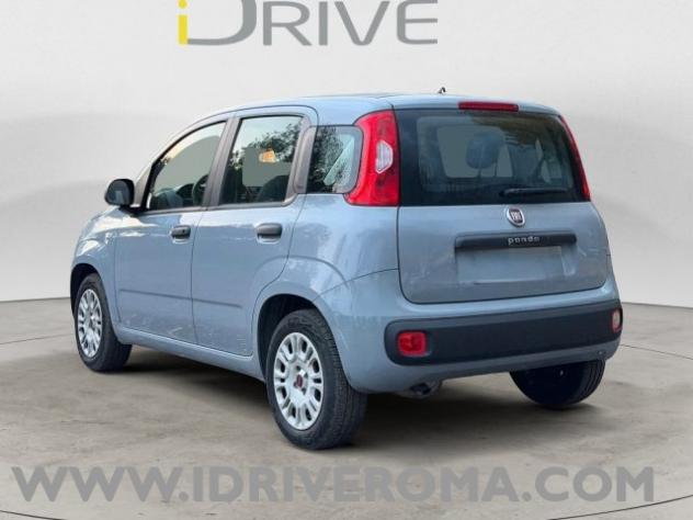FIAT Panda 1.0 FireFly rif. 23876314 - Foto 4