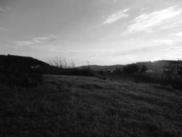 Immobile in asta di 57122 m² in vendita a Catanzaro - Foto 6