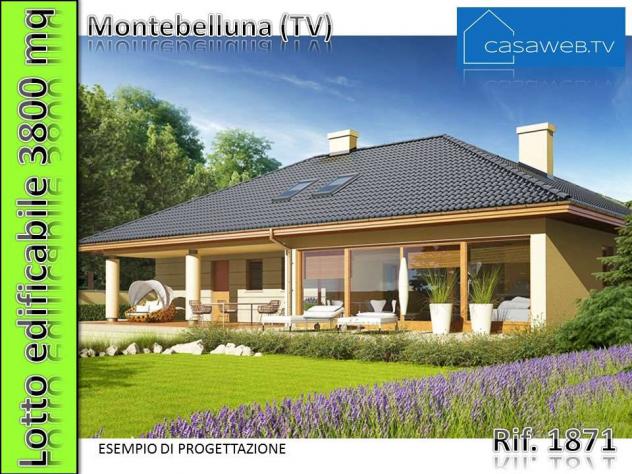 1871 - Terreno edif. 3800mq Montebelluna (TV) Rif. 1871 - Foto 6