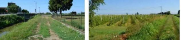 Immobile in asta di 47488 m² in vendita a Villaga - Foto 4