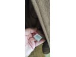 Cappotto uomo tag.56   XXL condizioni ottime
