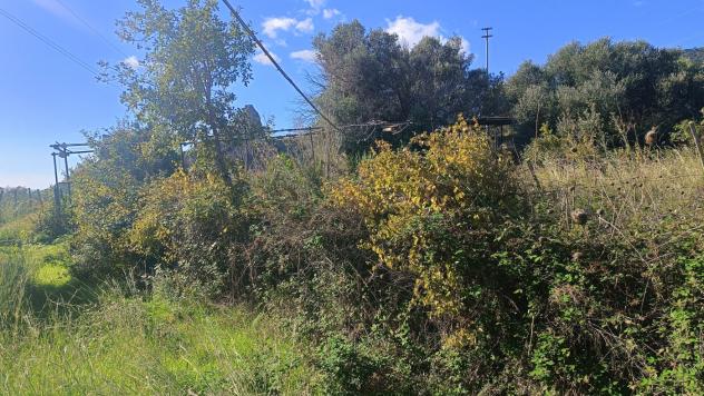 Terreno Agricolo - Messina . Rif.: Cod. rif 3302742VCG - Foto 5