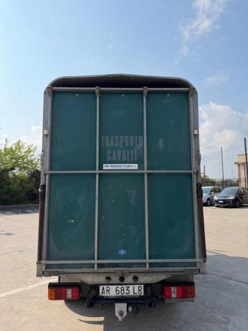 NISSAN TRASPORTO CAVALLI TRADE 100 rif. 23969029 - Foto 5