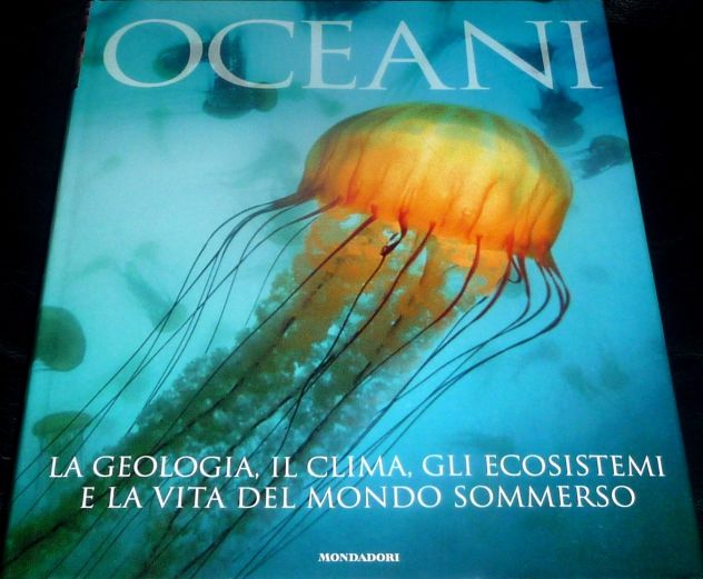 OCEANI