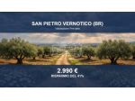 Immobile in asta di 5074 m² in vendita a San Pietro Vernotico