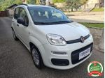 FIAT Panda 1.2 Easy UNICO PROPRIETARIO  rif. 23715811