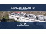 Immobile in asta di 7705 m² in vendita a Martirano Lombardo