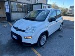 FIAT Panda my24 1.0 70cv hybrid panda