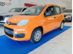 FIAT Panda 3ª serie Panda 1.2 Pop