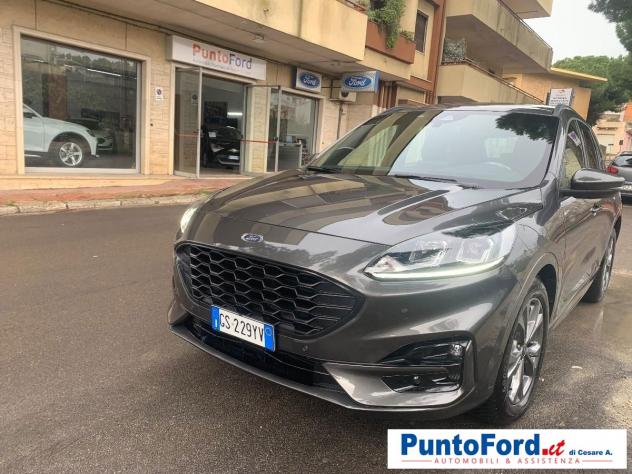 FORD - Kuga - 2.0 TDCI 120 CV S&S 2WD ST-Line