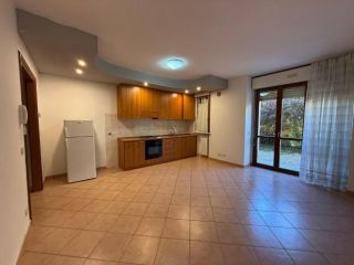 Appartamento in affitto a Siena 50 mq  Rif: 1288213