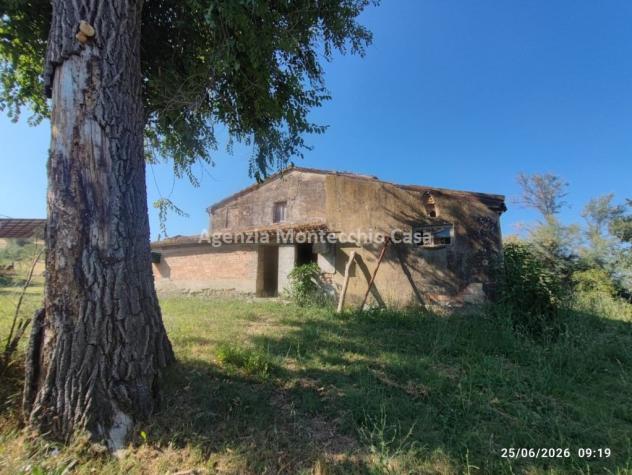 Azienda agricola con casa fienile e 26 ettari circa di terreno agricolo - Foto 3