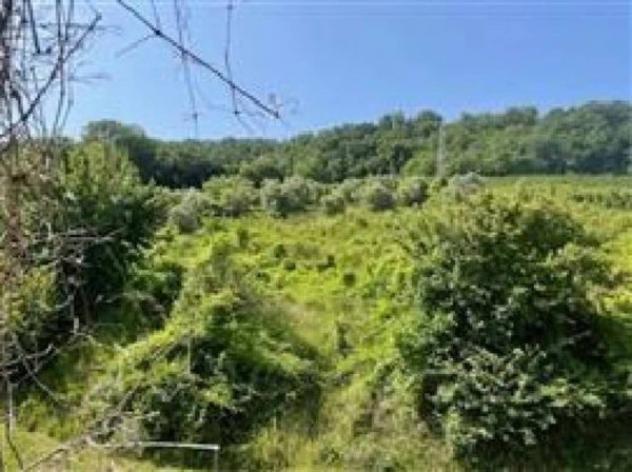 Immobile in asta di 394 m² in vendita a Campofilone - Foto 8