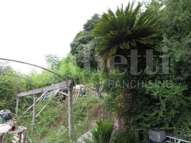 Appartamento - La Spezia . Rif.: Cod. rif 3219042VRG - Foto 4