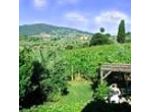 Agriturismo Toscano Le Fornacine