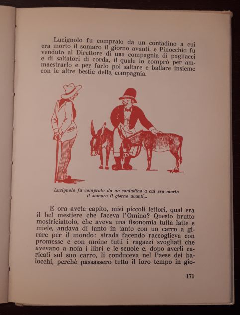 PINOCCHIO, COLLODI, I PRIMI GRANDI LIBRI SALANI EDITORE 1971. - Foto 8