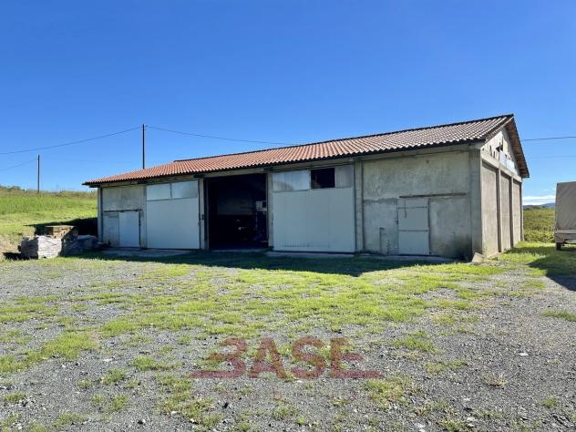 Azienda Agricola in vendita a Guardistallo - Foto 17