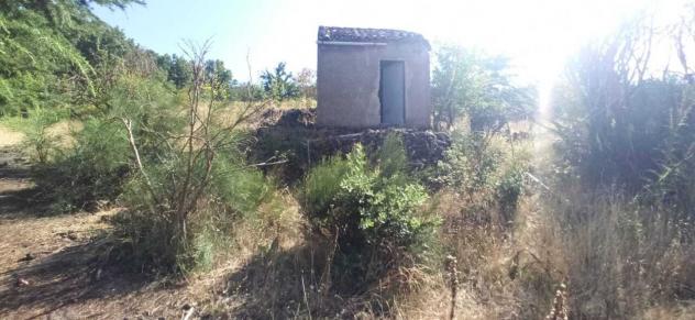 Frutteto in vendita a Biancavilla - Foto 20