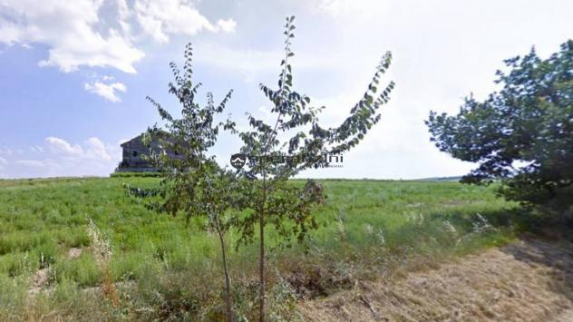 San costanzo proponiamo in vendita azienda agricola di circa 18 ettari. il terreno gode di un'ottima esposizione ed è facilmente raggiungibile dalle p - Foto 11