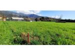 Terreno agricolo in vendita a Massa 1280 mq  Rif: 1311955