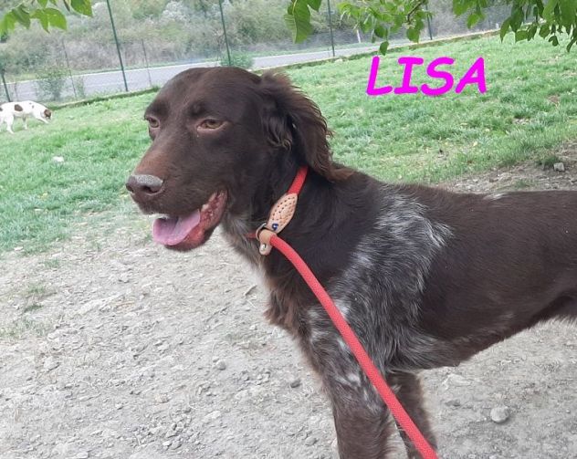 LISA timida giovane setterina