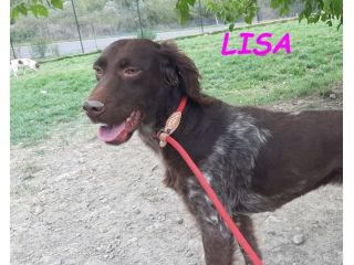 LISA timida giovane setterina