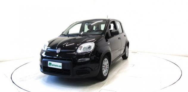 FIAT Panda 1.0 FireFly Hybrid *4 POSTI * OK NEOPATENTATI * rif. 23990182 - Foto 3