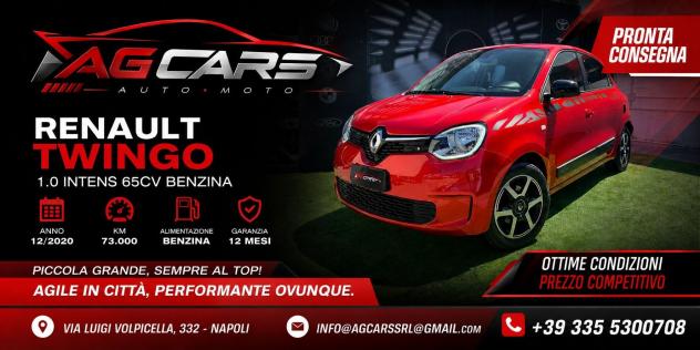 Renault Twingo SCe 65 CV Intens occasione imperdibile