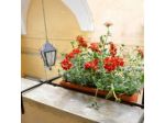 B&B Le Stanze del Poeta