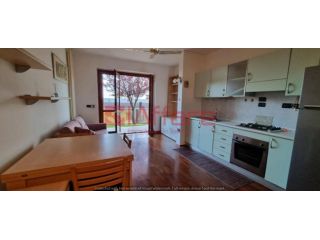 Appartamento in affitto a Calcinaia 30 mq  Rif: 1256427