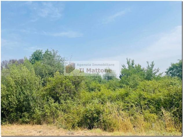 terreno agricolo a 10 Km dal Eur centro - Foto 4