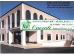 MQ 10.000 GUIDONIA, ZONA INDUSTRIALE Rif. A-975.