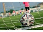 Associazione Osservatori Calcio