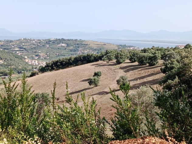 Agricolo in Via Sorrento - Foto 3