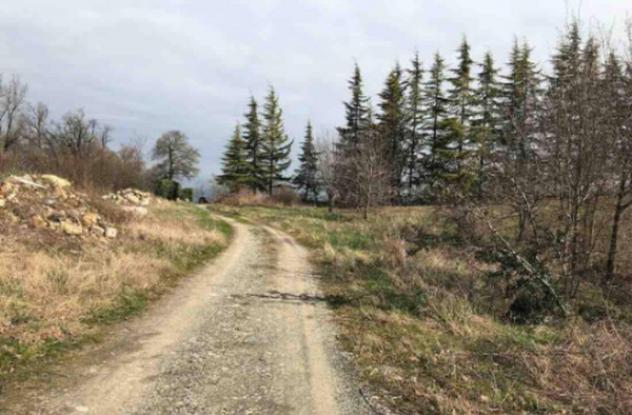 Immobile in asta di 1860 m² in vendita a Gazzola